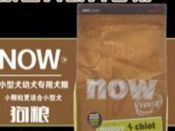 全新狗糧價格分析 上海寵物食品市場趨勢與選購指南