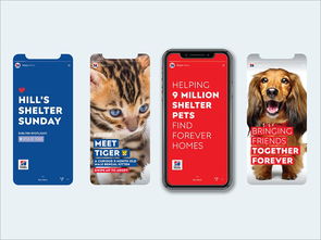 以愛(ài)為筆，以食為畫(huà)——專(zhuān)訪寵物食品包裝設(shè)計(jì)師