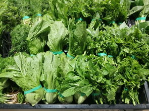 上周云南省生活必需品零售價格觀察 6漲1平5跌，新鮮蔬菜價格回落